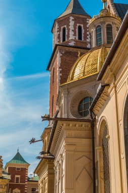 Krakow Polonya 'daki Wawel Katedrali