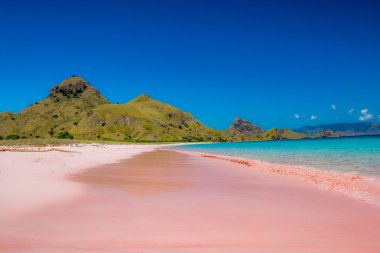 Pink Beach Komodo Dragon milli park Endonezya