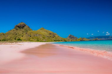 Pink Beach in Komodo Dragon National park Indonesia clipart