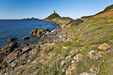 Littoral in Parata Yarımadası 