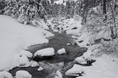 Kış orman dağ dere