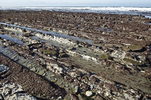 Low tide at Atlantic Coastline of French Basque country — Stock Photo, Image