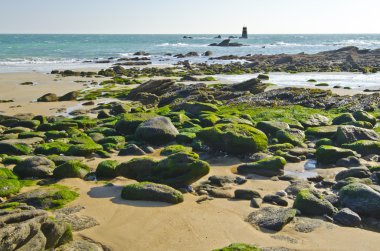 Kıyı şeridi ve taret Pointe des Corbeaux Yeu Adası