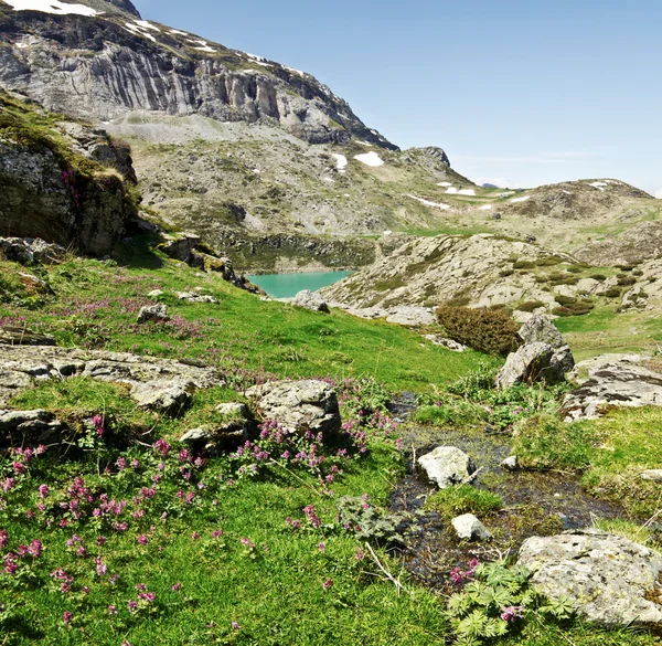 Spring colors in Estaube circus — Stock Photo, Image