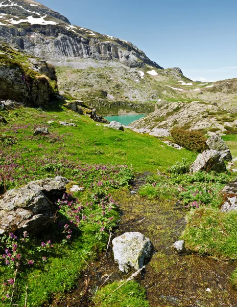 Primavera en el circo de Estaube en los Pirineos franceses — Foto de Stock