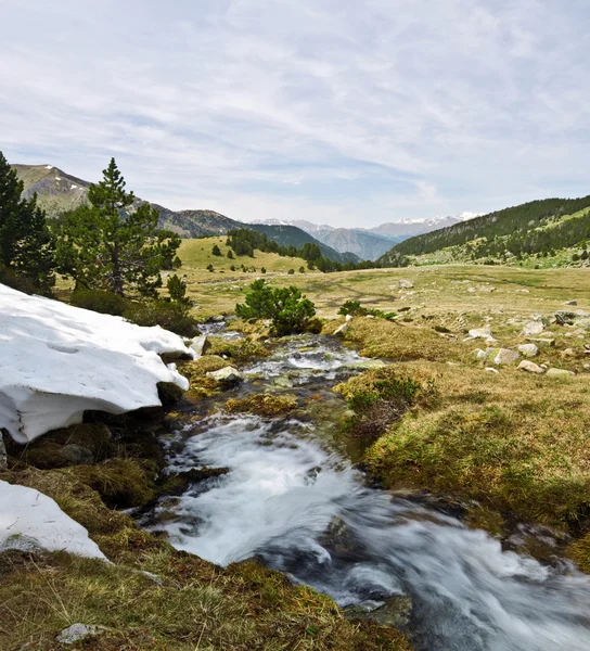 Spring stream of Perafita river in top of valley — Stock Photo, Image