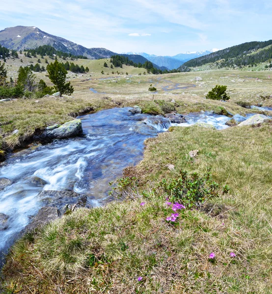 Jarní proud Perafita řeka v horní části údolí — Stock fotografie