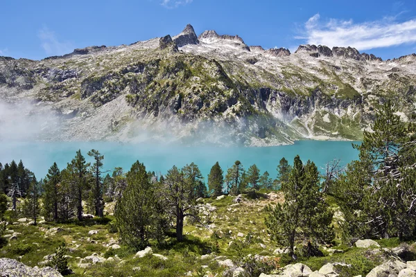 Neouvielle pico y el lago Aubert visto desde el bosque de alfileres de montaña — Foto de Stock