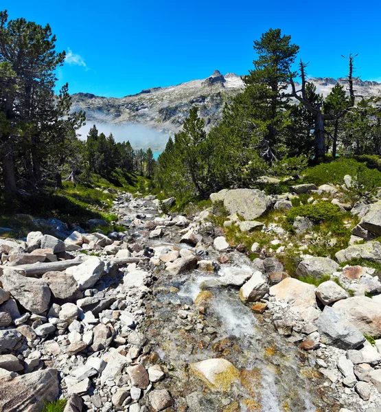 Water course flowing to Aubert lake in Neouvielle Mountain Massi — Stock Photo, Image