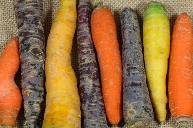 Farklı renkli havuç