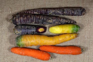 Farklı renkli havuç