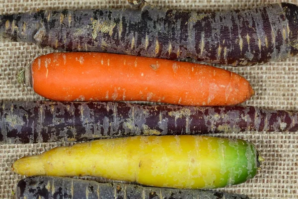 Cenouras coloridas diferentes — Fotografia de Stock