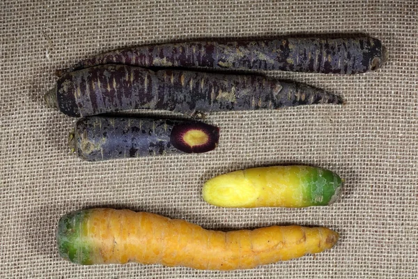 Different colored carrots — Stock Photo, Image