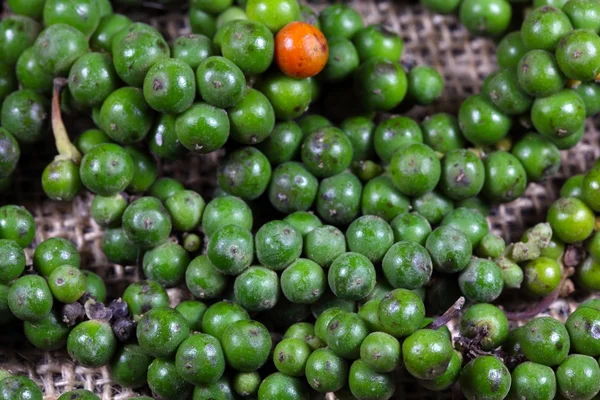 Grön paprika bär — Stockfoto