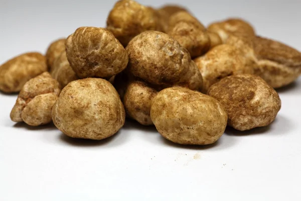 White truffles Tuber oligospermum — Stock Photo, Image