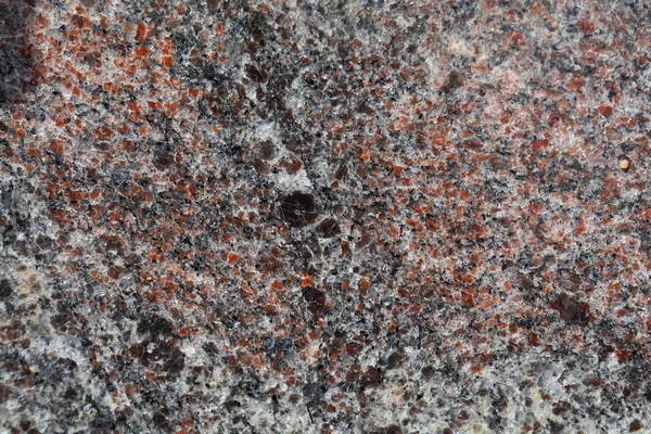 Surface of a gneiss rock — Stock Photo, Image