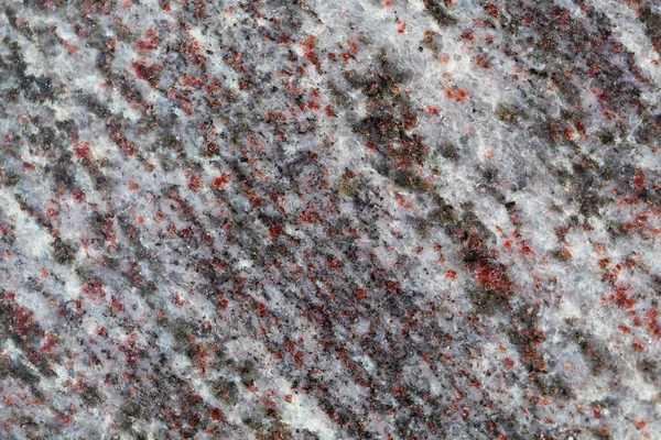 Surface d'une roche de gneiss — Photo