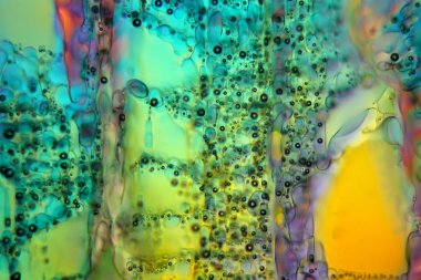 Mikroskop altında buz