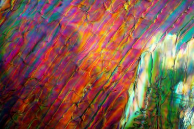 Mikroskop altında buz