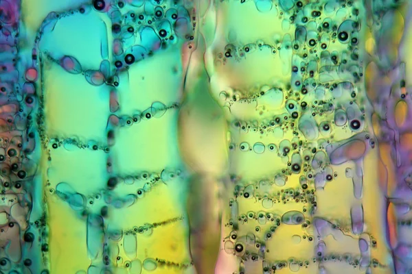 Lód pod mikroskopem — Zdjęcie stockowe