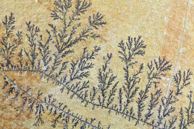 Dendritik minerallerin demir ve Manganez oksit