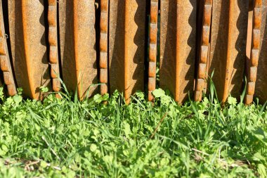 Cambridge silindirinin ayrıntıları, bir tarımsal araç ve bir çayır çimeni. 