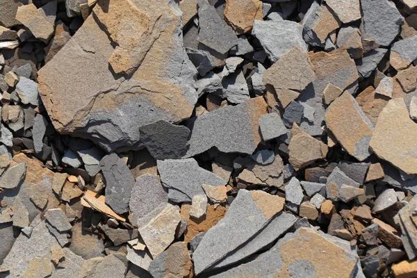 Fragmentos Posidonia Shale Jurássico Inferior Sul Alemanha — Fotografia de Stock