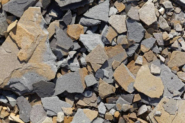 Fragment Posidonia Shale Från Nedre Jura Södra Tyskland — Stockfoto