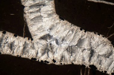 Mikroskop altında ve polarize ışıkta kalsit damarı.. 