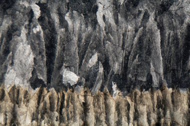 Mikroskop altında ve polarize ışık altında kalsit kristalleri. 