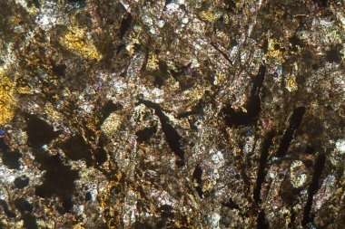 Mikroskop altında ve polarize ışıkta bir kayanın ince kısmı. Taş Paleozoik çağdan ve Bavyera Güney Almanya 'dan. 