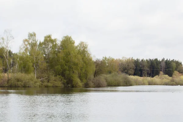 Lake Craimoosweiher Protected Area Bavaria Germany — Stock Photo, Image