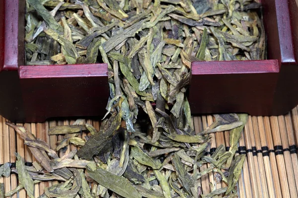 Hojas de té — Foto de Stock