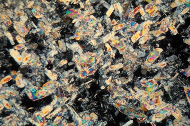 Bal mikroskop altında