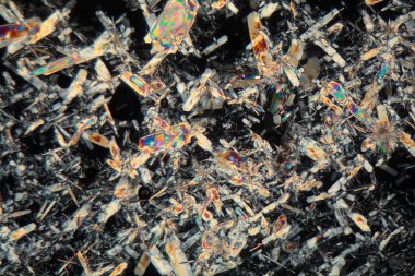 Bal mikroskop altında