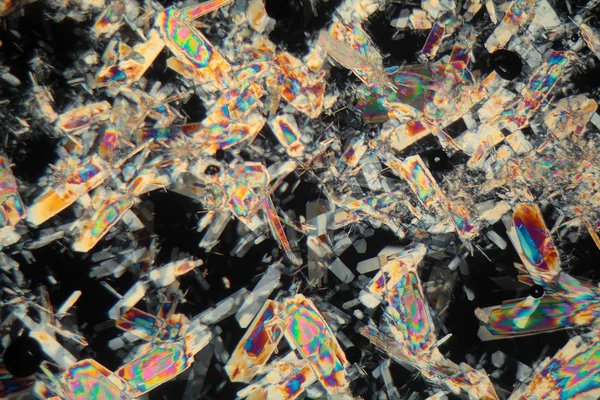 Bal mikroskop altında