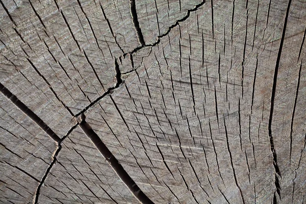 Wood as Background — Stock Photo, Image