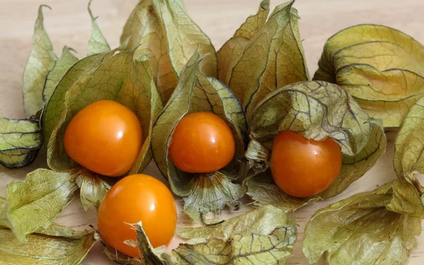 Physalis peruviana — Stock Photo, Image