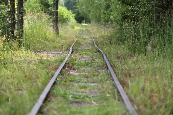 Old railway tracks — Stock Photo, Image