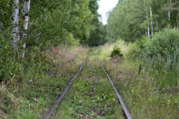 Oude spoorlijnen — Stockfoto