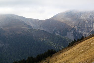 İsviçre Ulusal Parkı