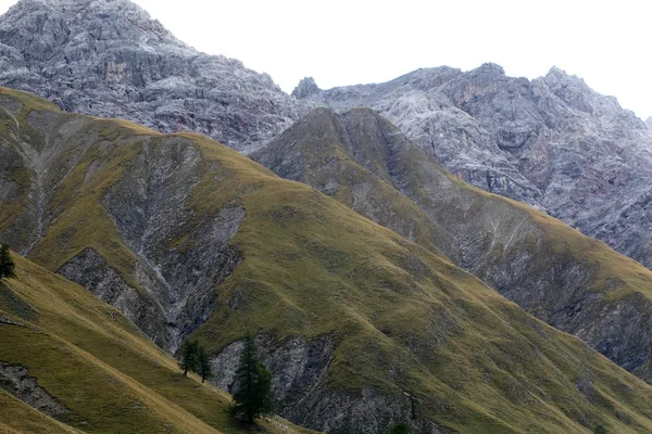 Швейцарський Національний парк — стокове фото
