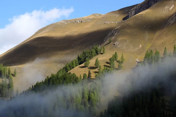 Швейцарський Національний парк — стокове фото