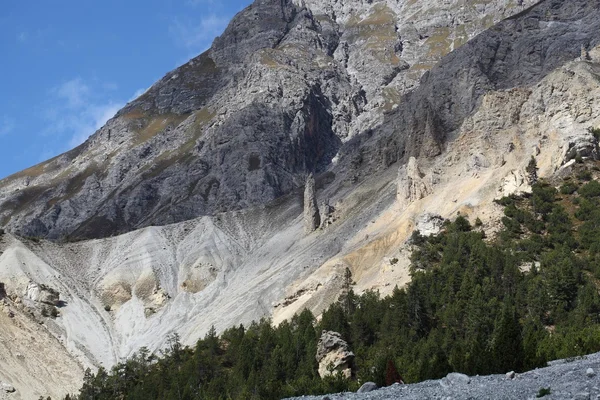 İsviçre Ulusal Parkı — Stok fotoğraf