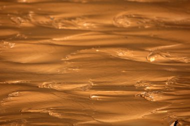 Islak çamur yapıları