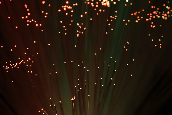 Illuminated Optical Fibers — Stock Photo, Image