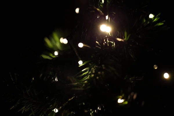 Lampen op een kerstboom — Stockfoto