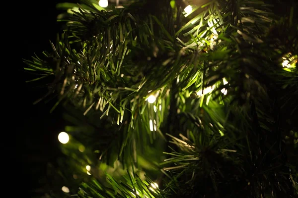 Lampen op een kerstboom — Stockfoto