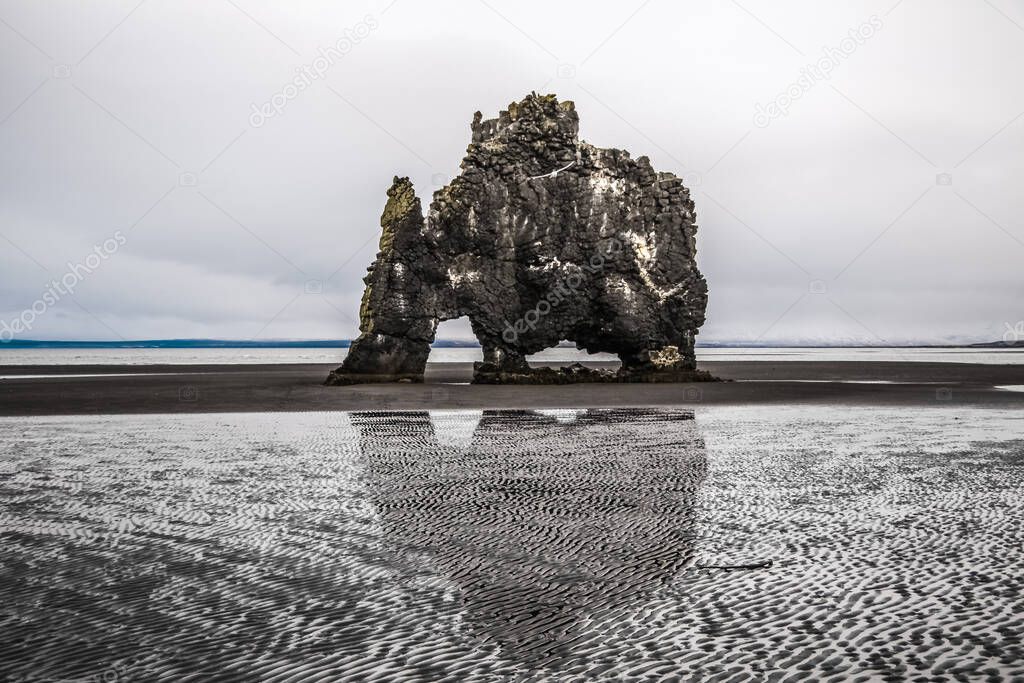Hvitserkur giant basalt rock in the north of Iceland . High quality photo