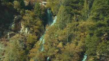 Himalayalar 'daki doğal şelale Uttarkashi-Gangotri otobanından görülen güzel yeşil ağaçlarla çevrili Uttarakhand, Hindistan. Bu su akışı Bhagirathi nehrine gidiyor. Kamera Eğiliyor. 4k